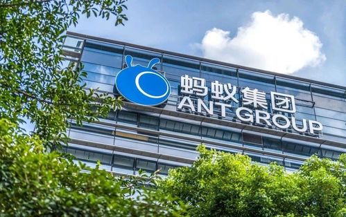 推动实现 碳中和 目标, 看这6家金融 科技头部企业如何布局